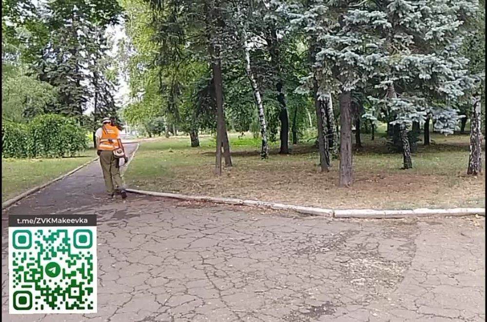 Владислав Ключаров: Продолжаем уделять внимание покосу травы на территории городского округа