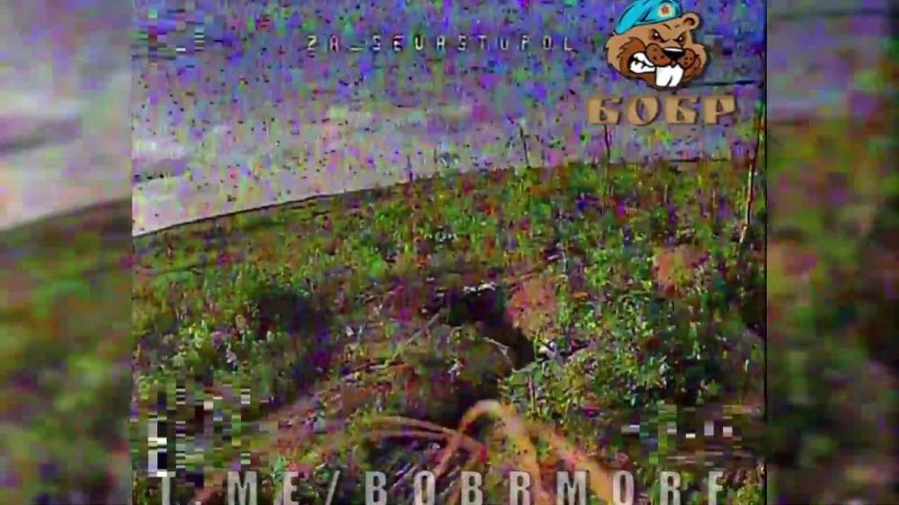 �������� �����������.. ���� ����� ����� � ���������� ������� - ����� �� ��� � ����