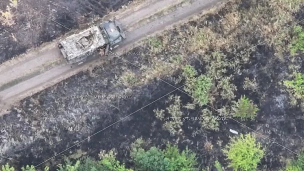 ��������� ���: ���������� ����� ������ ������ ����� ������ � ������ �� ��������