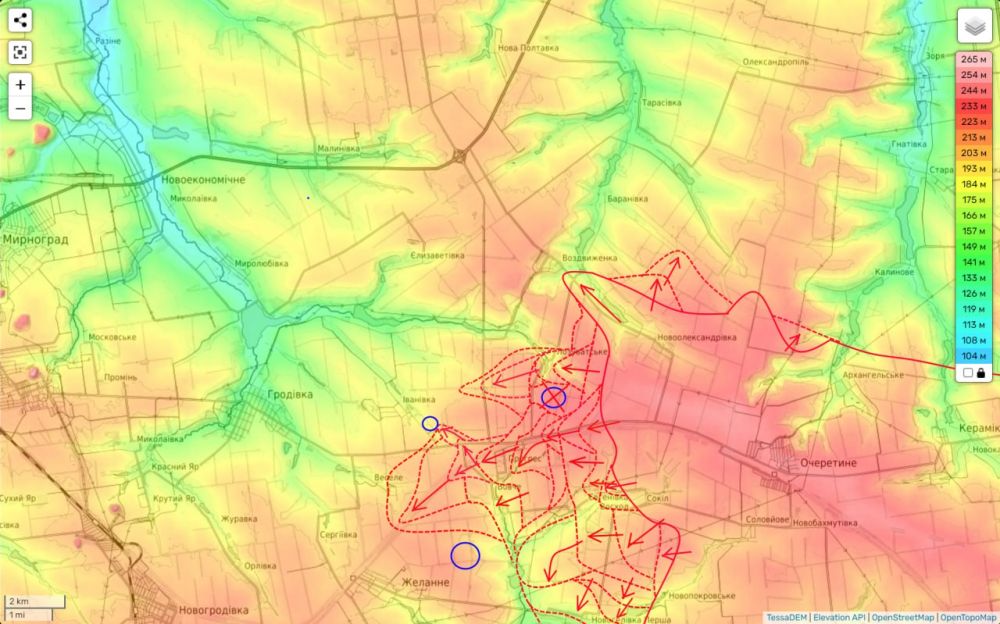 ���� ��������: ���������� ����������� (26.07.24 ����� ���): �������-��������-��������