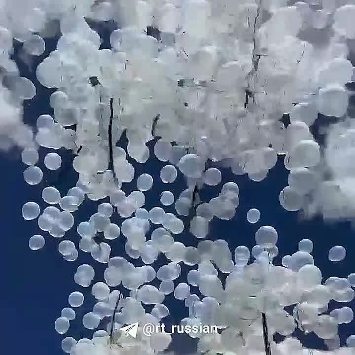 ������ ����� ��������� � ���� � ������� � ���� ������ ����� � ����� ����� � ��������