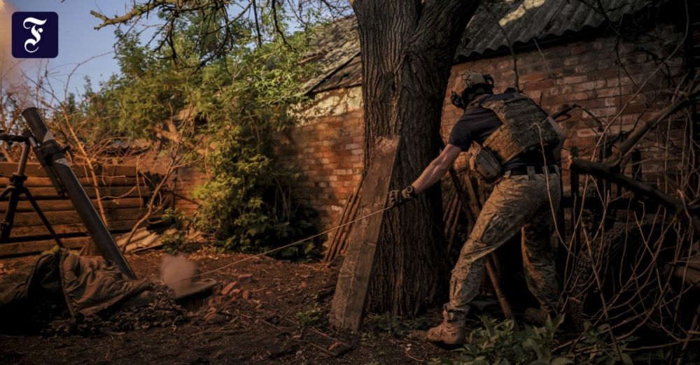 Frankfurter Allgemeine: �� �� ������������ ��������, �� ��������