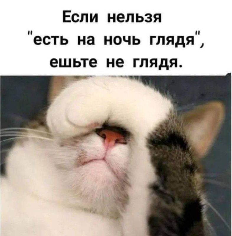 ������� �����. ��������� ���������-24