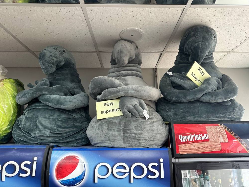 ������� �����: ���������� ������������� �����