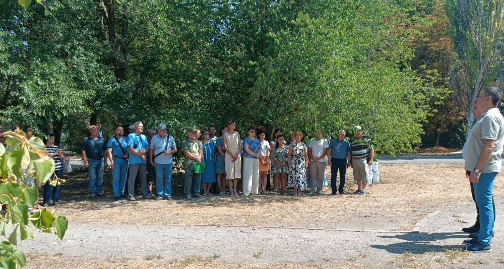 ������� �������: �������, 29 ����, ������ ������� � ������������� �������� ��������� �����, ������������ ������� ������-�������� � ���������� ������� ���������� �� ��������� ����� ������