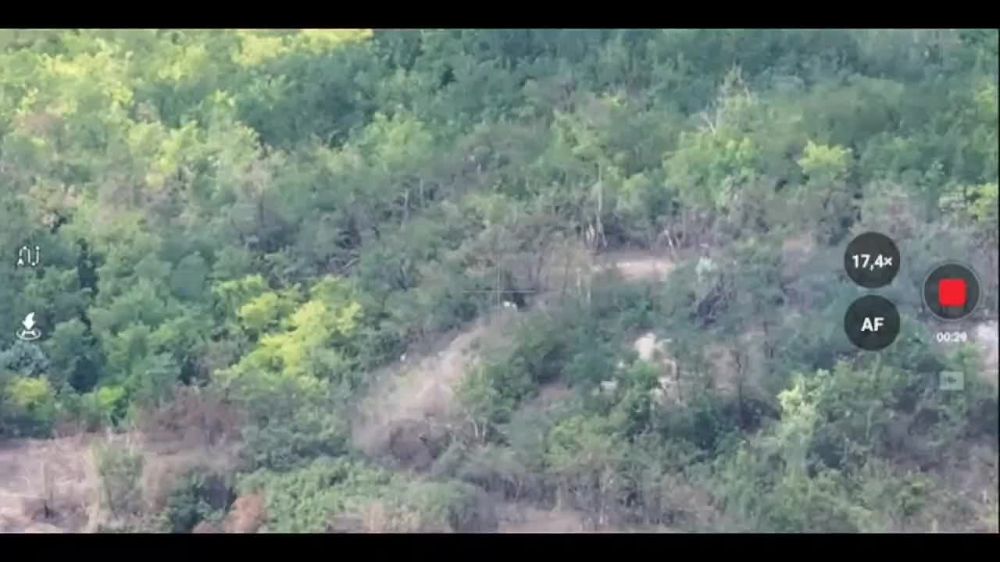 ������� FPV-������ �� ����� ��� ����� ����