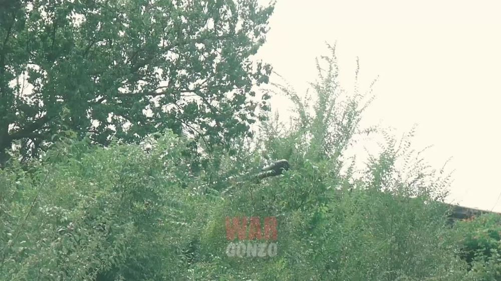 WarGonzo: �������� ����� ����������� �� ������ ����������� �����
