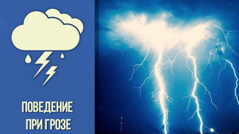 ����� �����: �������� �� ����� �����