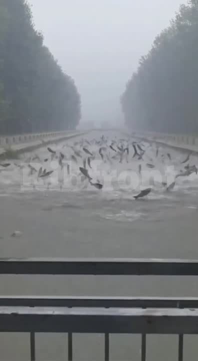 ���� ����� ����������� �� ���� ��-�� ���������� � �����