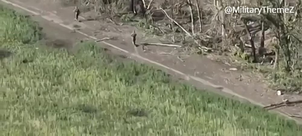 ��������� �������: ���� ��� �������� ������ �� ����������������