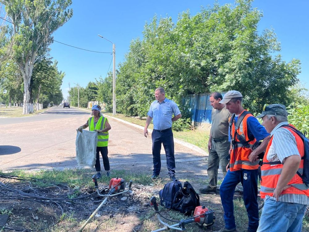 Константин Зинченко: Продолжаю контроль поручения Главы ДНР Дениса Пушилина по покосу сорных и карантинных трав