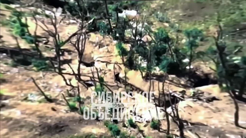 ��������� �������: �������� �������� ��������� �� ���������