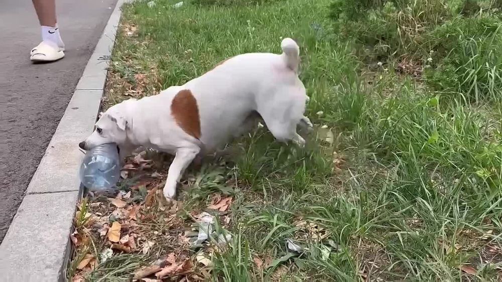 �������� ���� �����. ��������� ����������� ����� ��, ���� ��� � ������������ ���� ������� �������� ��� ������� �...