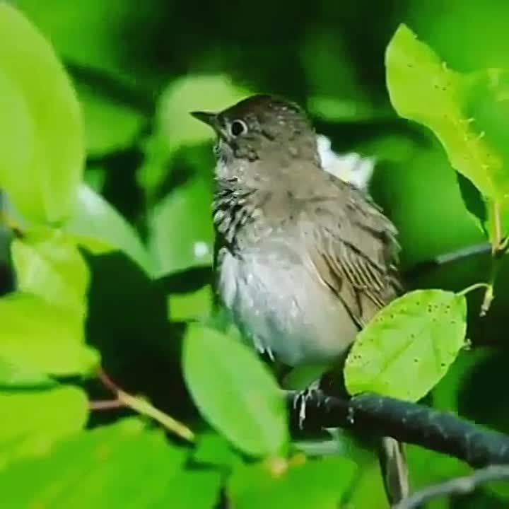 � ������ �����, ���������!
