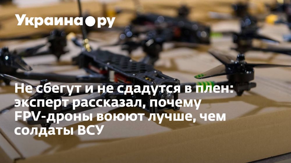Не сбегут и не сдадутся в плен: эксперт рассказал, почему FPV-дроны воюют лучше, чем солдаты ВСУ