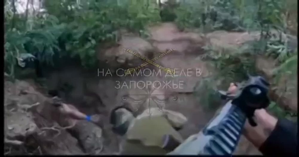 ������� ���������: ������������ �������� ������ ���������� �������� �� �������