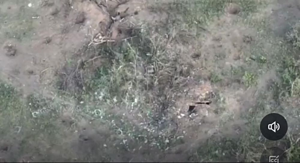 ����������������� ����������� 98 ������� ��� �� ������� ��������� �����-������� � ������� ��� ��������� ������� ������� �������