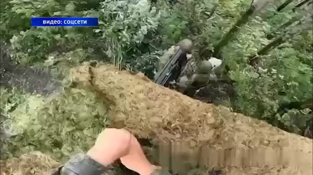 � ������ ��������� ������ ���� ������ ���������������� ������� ���