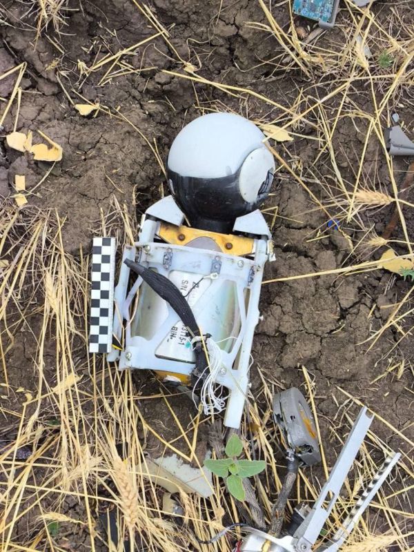 Борис Рожин: Сбитый на территории ДНР американской барражирующий боеприпас Switchblade-600