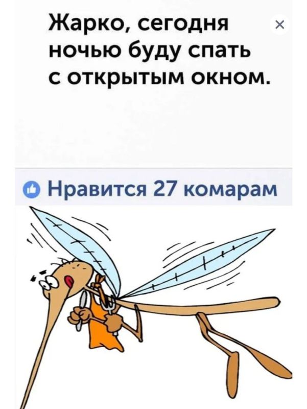 ������� �����. ��������� ���������-24