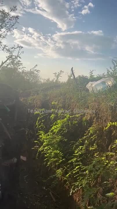 ������ �������: ������� ������� �� ������� ������� ������� �������� ���-500 � �������������� �������� ������������ � ��������� (����) �� �������� ����� "����������" � �������� ����������� �� ����-�������� �����������