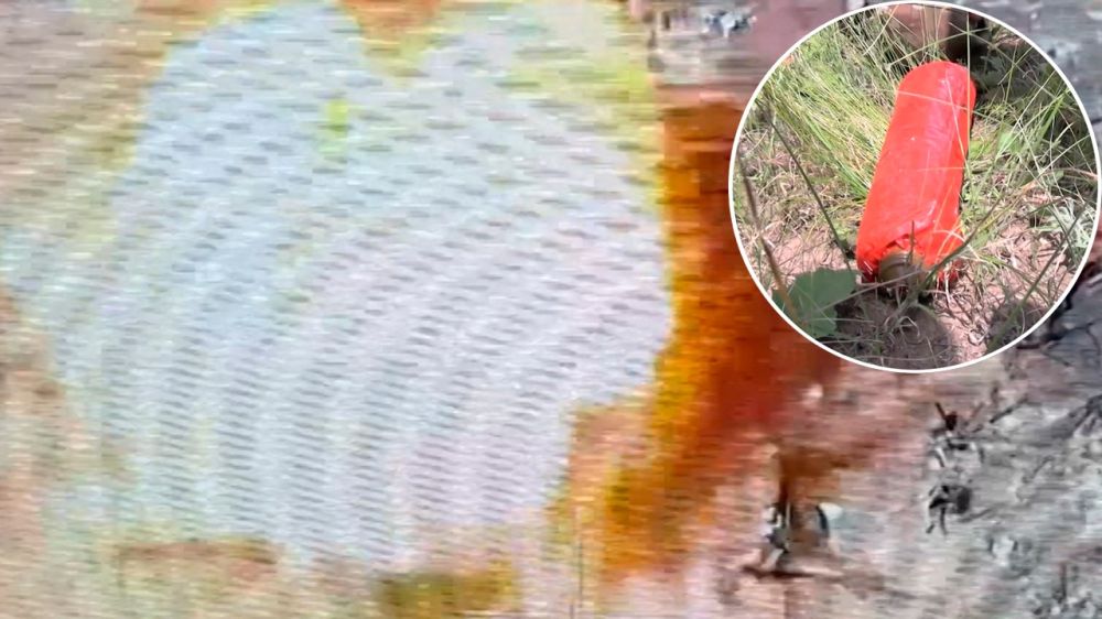 ����� �� �� ��������� ��������������� ����, ����� ���������� ������� ���