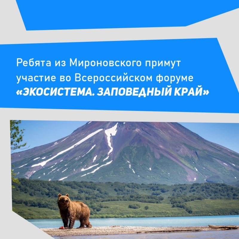 ������ ��������: ������ �� ������ ���������� ����������� � ������ ��������