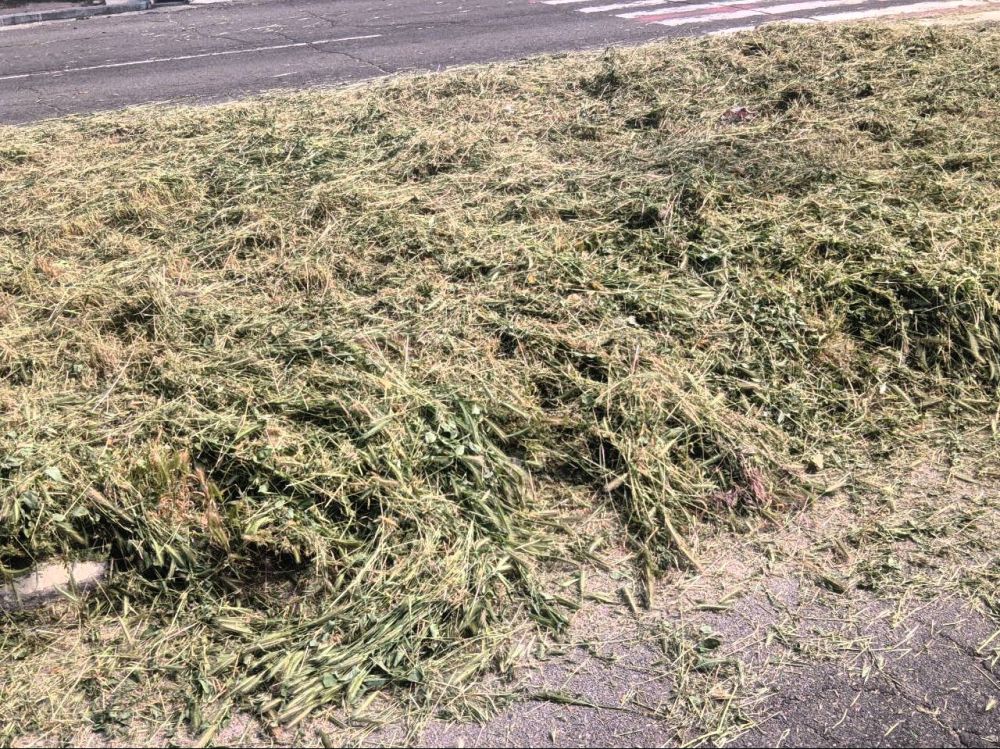 ����� �����: �� ��������� ����� ��� ������ �������� � �� ������������ ����� ����������� �� ������ �����, �� ���������� ����������� �������������� ������ ��������� ������������ ����� ������ � ����������� ����