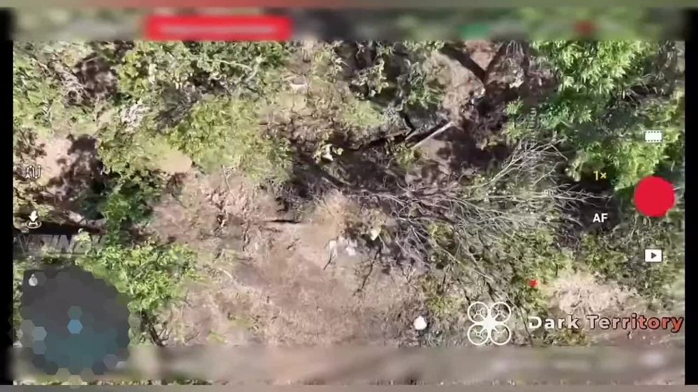 ����������� �����������. ������ ��������� "����" �� 57 ����������� ������� ���������� �������� ��������� "��������" ����������