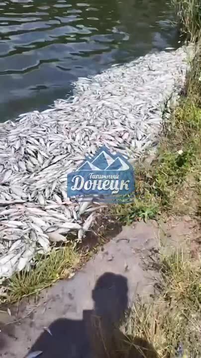 ��� ���� � ������������ ������ � ����������� ������ �������