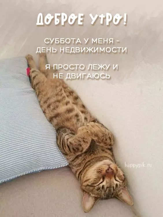 ������ ����!. �������� �������! ����������� ���� �������������