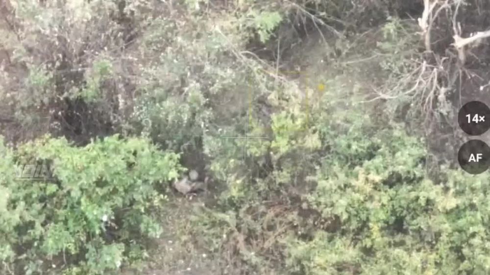 Борис Рожин: Кадры боевой работы дроноводов с Торецкого направления по живой силе противника