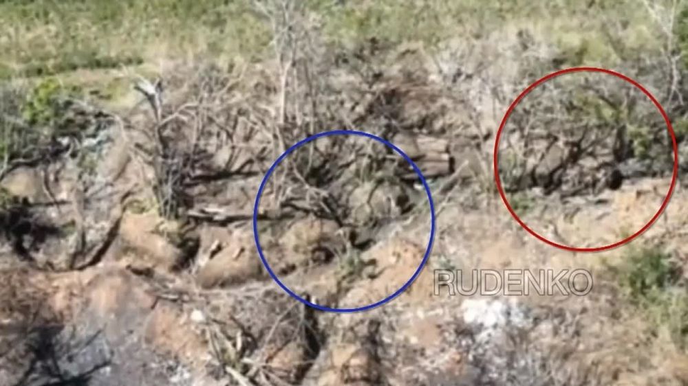 Борис Рожин: Тульские десантники штурмом овладели очередным опорным пунктом ВСУ у н.п