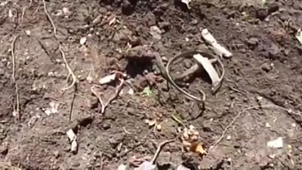 ���� ��������: 4 ������� 2022 ���� ������ �������� � ������ �������, � � ��� �� ����� �������� ��������