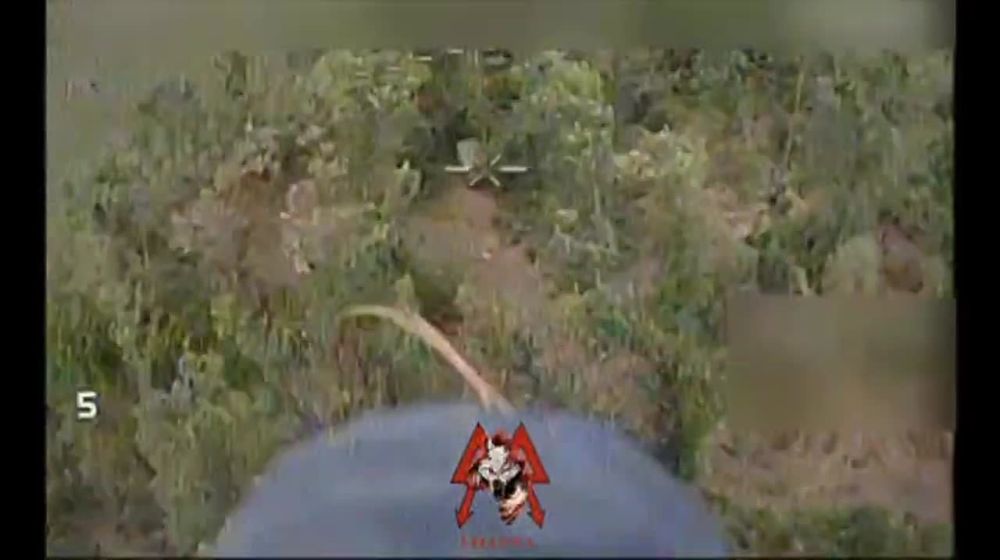 ��������� �������: ����� "������" ������� ��������� ���� �� ������������� �������� �������