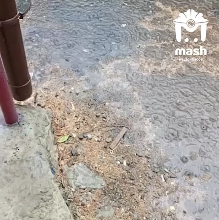 �� ���, ��� ������ ����������� ������ ���������? ���������� ���������� �� ������ ������� ���.