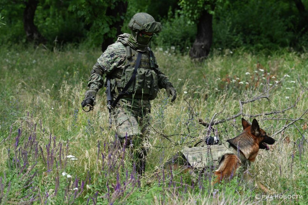 � ��� � ������ ���� ������������� ����� 470 �������� �����