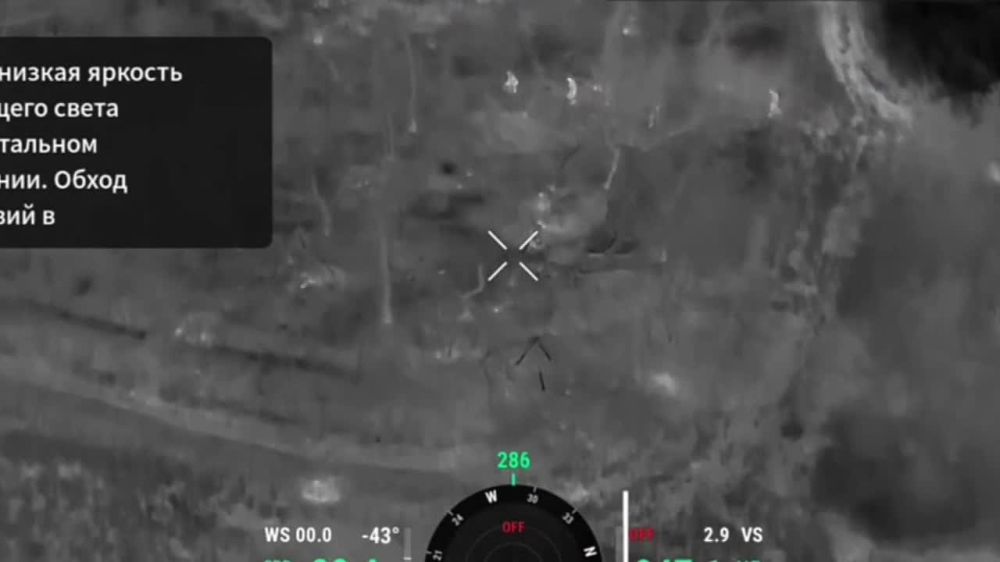 ������ �������: ���������� 5 ��������� ����������� �������� ������� ����������� "������" �� �� ���������� �������� ���������...