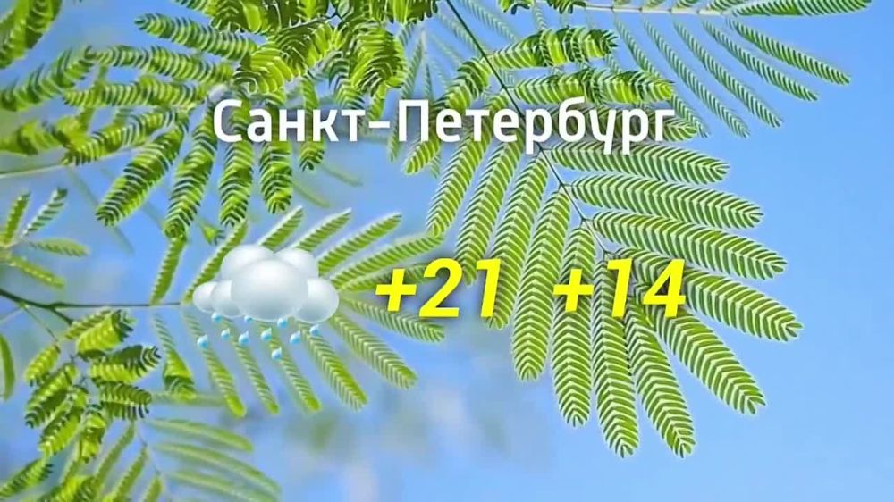 ������� ������ �� 06.08.2024