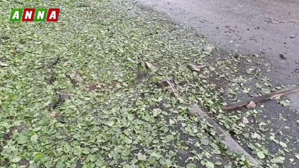 ������� �� ��������� � �������� ������� ��-�� �������� ���