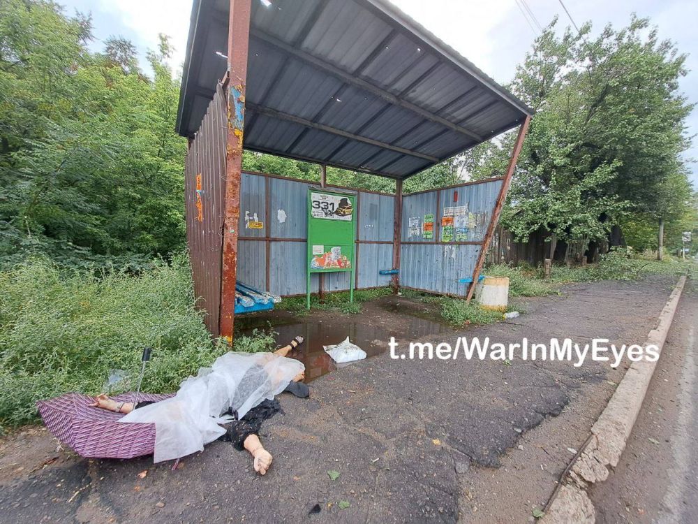 ������ ��������: ��� ���������� �������� - 3 �������� ����������