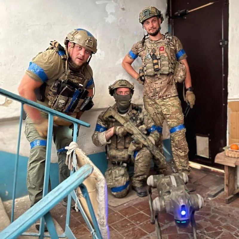 ���� ��������: � ���������� ��� ��������� ����, ��� ����������, ������������� �� ������ ������� (��� ���� ���) �������� ��� ��������