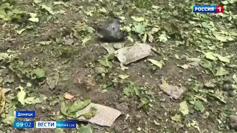 ���� ���������� �������� ���������� �������� �������� ����������