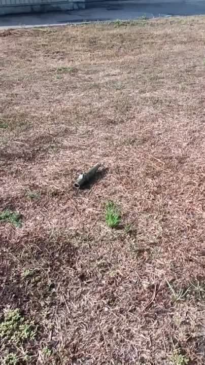 ���� ������� ��� �����������:
