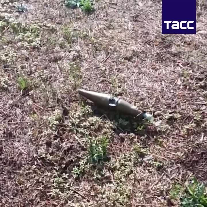 �� ������ ������� ������������� ����� ����������� ���� �� ������������ ������, �������� ���� � ���� �� ����������