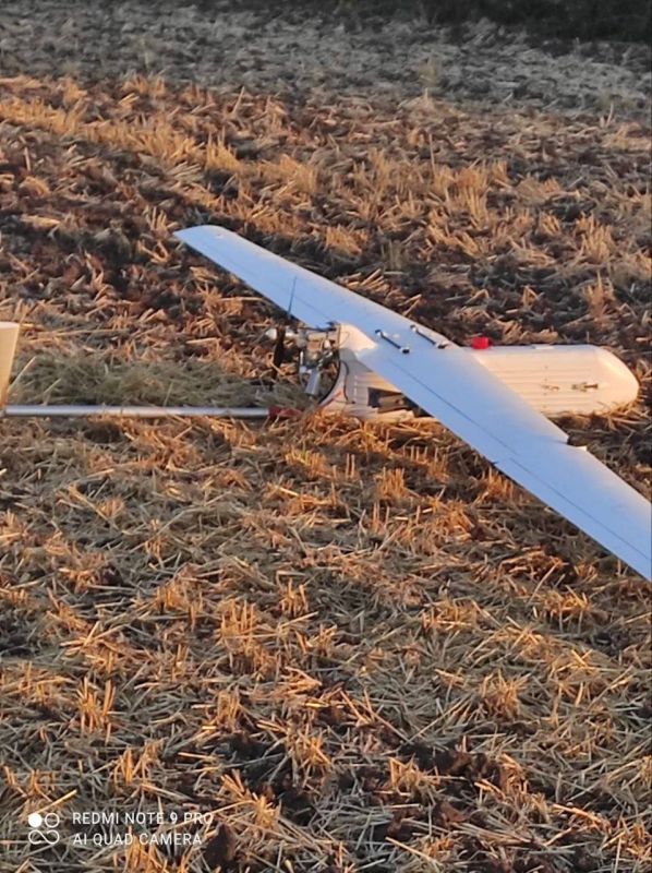 ���� ����: �� ��������� ����� � ������� ���