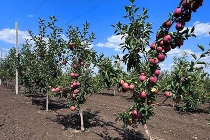 � ������������ ������ ��� ��������� ��������� ������ �����