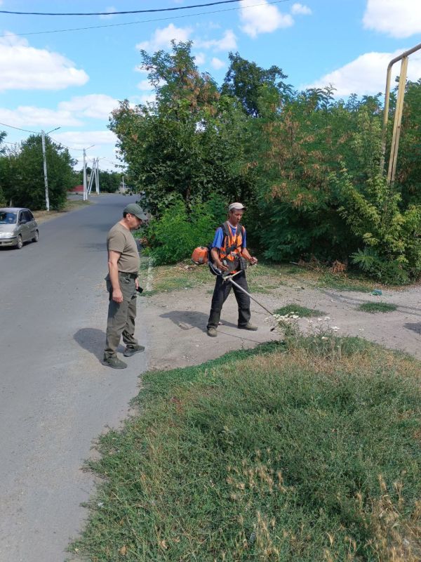 Константин Зинченко: Покос травы – важный вопрос благоустройства и обеспечения пожарной безопасности