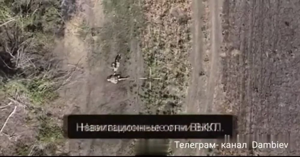 ������ �������: ����� 2 ������. ��������� fpv-������ 14 ����������� ������� ��� ���������� ���������� ����� ���� ���������� �� ����-�������� �����������