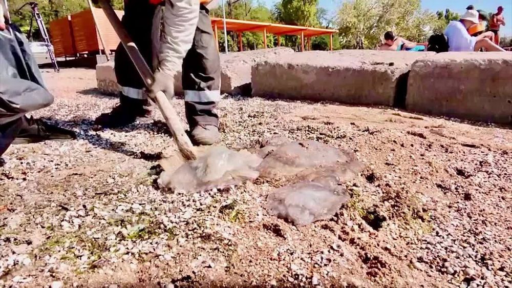 ���������� ������������ ��������� ����� ��������� �� ����� � ������